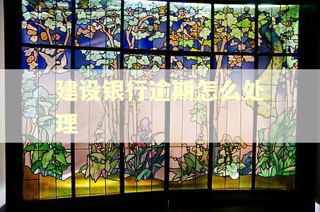 建设银行逾期怎么处理 建设银行逾期怎么处理