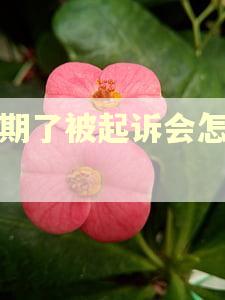 逾期了被起诉会怎么样