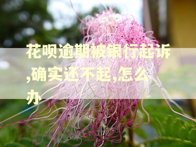 花呗逾期被银行起诉,确实还不起,怎么办