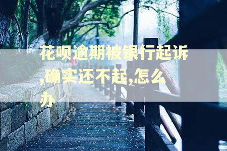 花呗逾期被银行起诉,确实还不起,怎么办