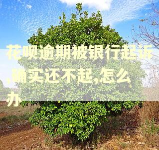 花呗逾期被银行起诉,确实还不起,怎么办