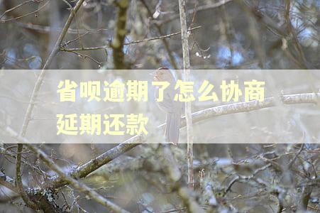 省呗逾期了怎么协商延期还款