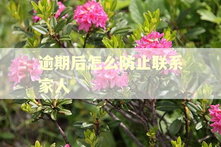 逾期后怎么防止联系家人