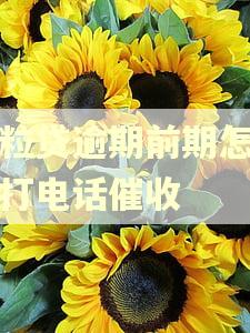 微粒贷逾期前期怎么没打电话催收