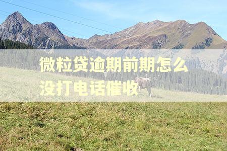 微粒贷逾期前期怎么没打电话催收 微粒贷逾期前期怎么没打电话催收