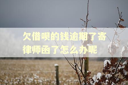 欠借呗的钱逾期了寄律师函了怎么办呢