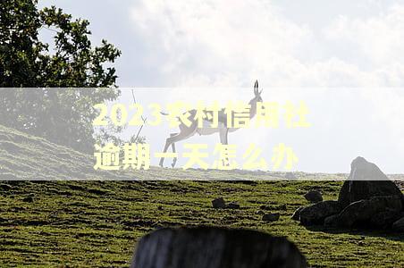 2023农村信用社逾期一天怎么办