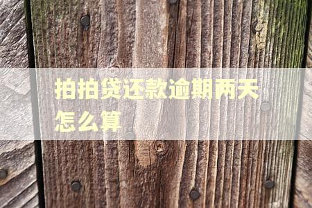 拍拍贷还款逾期两天怎么算