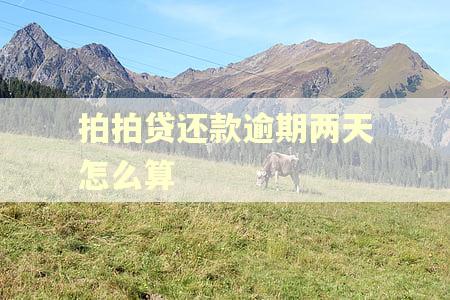 拍拍贷还款逾期两天怎么算