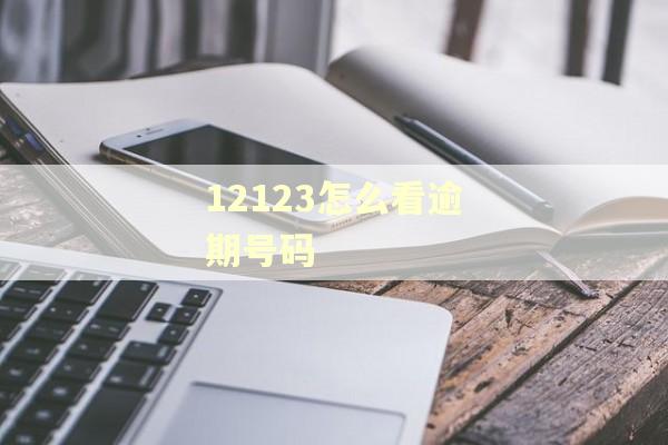 12123怎么看逾期号码
