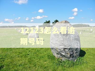12123怎么看逾期号码