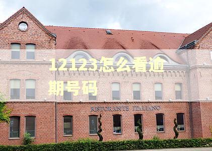 12123怎么看逾期号码