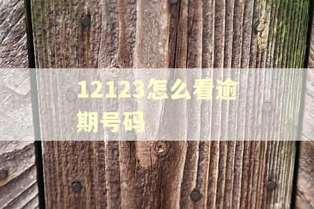 12123怎么看逾期号码