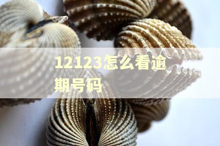 12123怎么看逾期号码 12123怎么看逾期号码