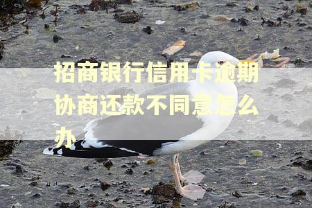 招商银行信用卡逾期协商还款不同意怎么办