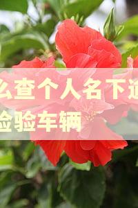 怎么查个人名下逾期未检验车辆