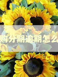 网购分期逾期怎么办