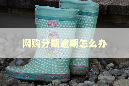 网购分期逾期怎么办