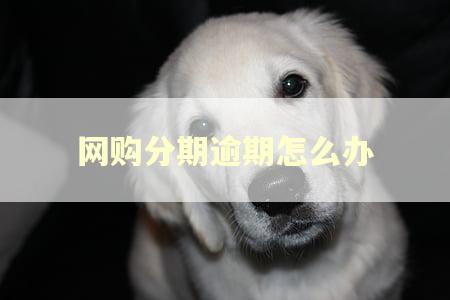 网购分期逾期怎么办