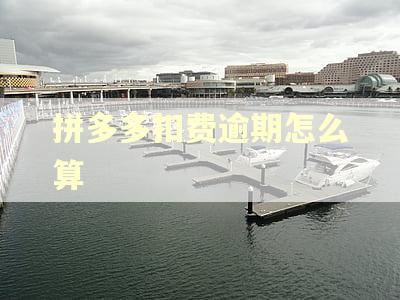 拼多多扣费逾期怎么算