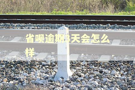 省呗逾期3天会怎么样