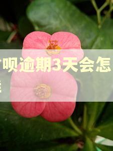 省呗逾期3天会怎么样