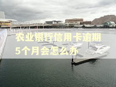 农业银行信用卡逾期5个月会怎么办