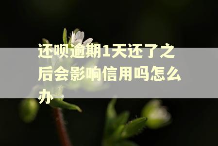 还呗逾期1天还了之后会影响信用吗怎么办