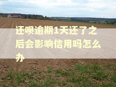 还呗逾期1天还了之后会影响信用吗怎么办