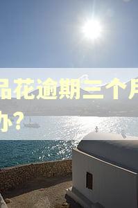 唯品花逾期三个月怎么办?