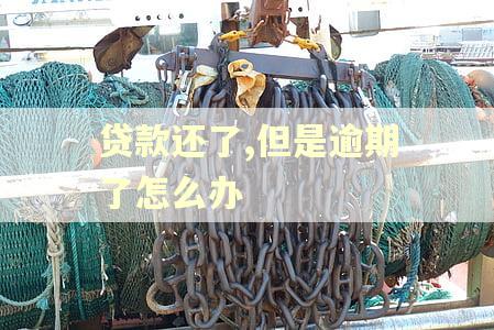 贷款还了,但是逾期了怎么办