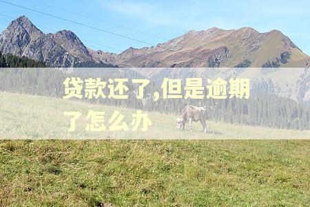 贷款还了,但是逾期了怎么办