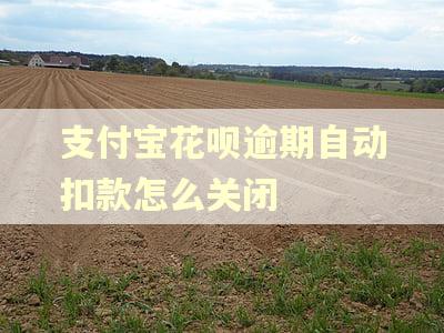 支付宝花呗逾期自动扣款怎么关闭