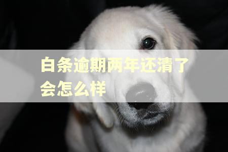 白条逾期两年还清了会怎么样