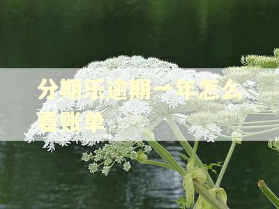 分期乐逾期一年怎么看账单