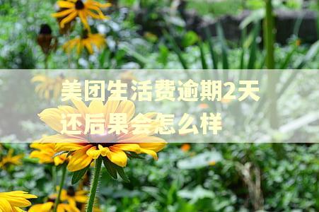 美团生活费逾期2天还后果会怎么样