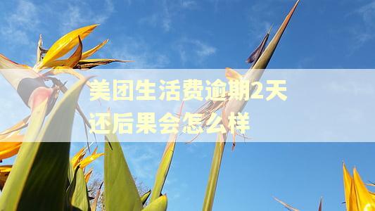 美团生活费逾期2天还后果会怎么样 美团生活费逾期2天还后果会怎么样