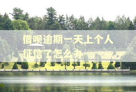 借呗逾期一天上个人征信了怎么办 借呗逾期一天上个人征信了怎么办