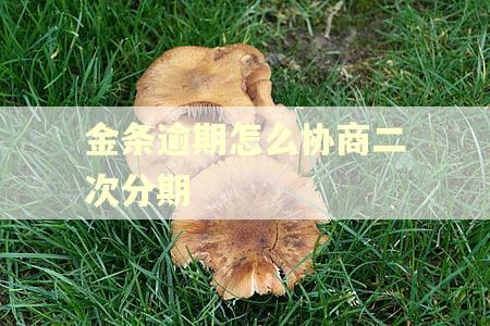 金条逾期怎么协商二次分期 金条逾期怎么协商二次分期