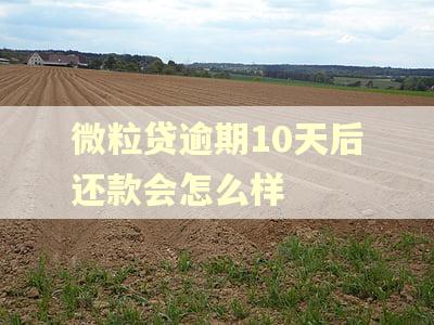 微粒贷逾期10天后还款会怎么样