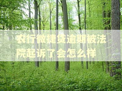 农行微捷贷逾期被法院起诉了会怎么样