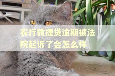 农行微捷贷逾期被法院起诉了会怎么样