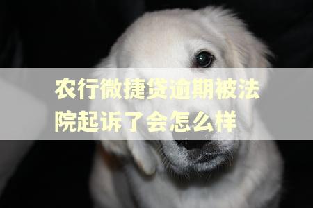 农行微捷贷逾期被法院起诉了会怎么样