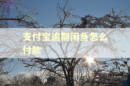 支付宝逾期闲鱼怎么付款