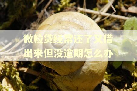 微粒贷经常还了又借出来但没逾期怎么办