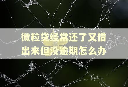 微粒贷经常还了又借出来但没逾期怎么办