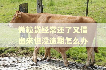 微粒贷经常还了又借出来但没逾期怎么办
