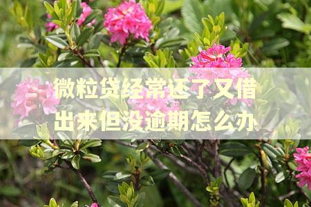 微粒贷经常还了又借出来但没逾期怎么办 微粒贷经常还了又借出来但没逾期怎么办