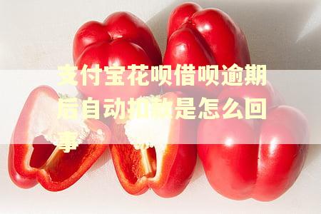 支付宝花呗借呗逾期后自动扣款是怎么回事 支付宝花呗借呗逾期后自动扣款是怎么回事
