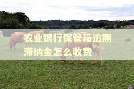 农业银行保管箱逾期滞纳金怎么收费 农业银行保管箱逾期滞纳金怎么收费
